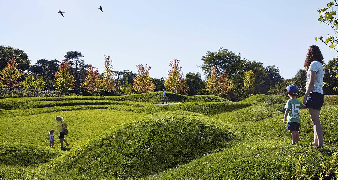 Rain Gardens  Chicago Botanic Garden